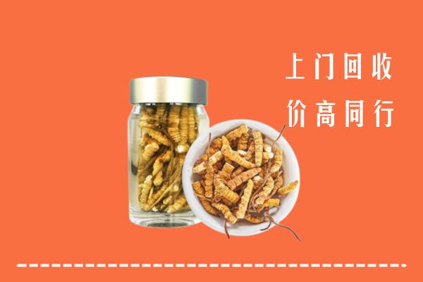 福贡县回收冬虫夏草